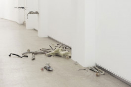 Cenci G., a través, 2017