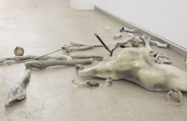 Cenci G., a través, 2017