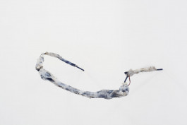 Cenci G., a través, 2017